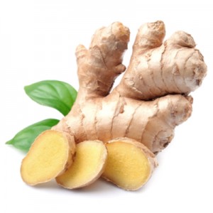 Ginger Essential Oil 